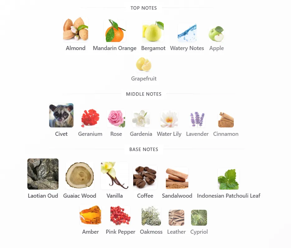 Screenshot 2026-06-02 195803.webp